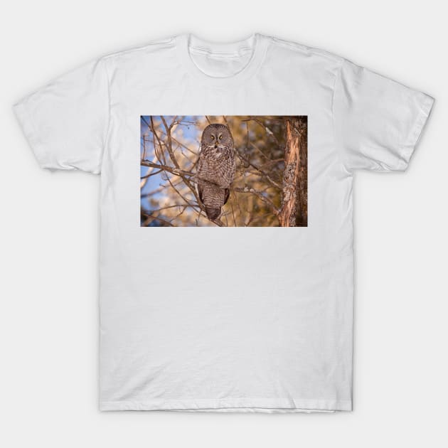 Being Observed T-Shirt by Eunice1